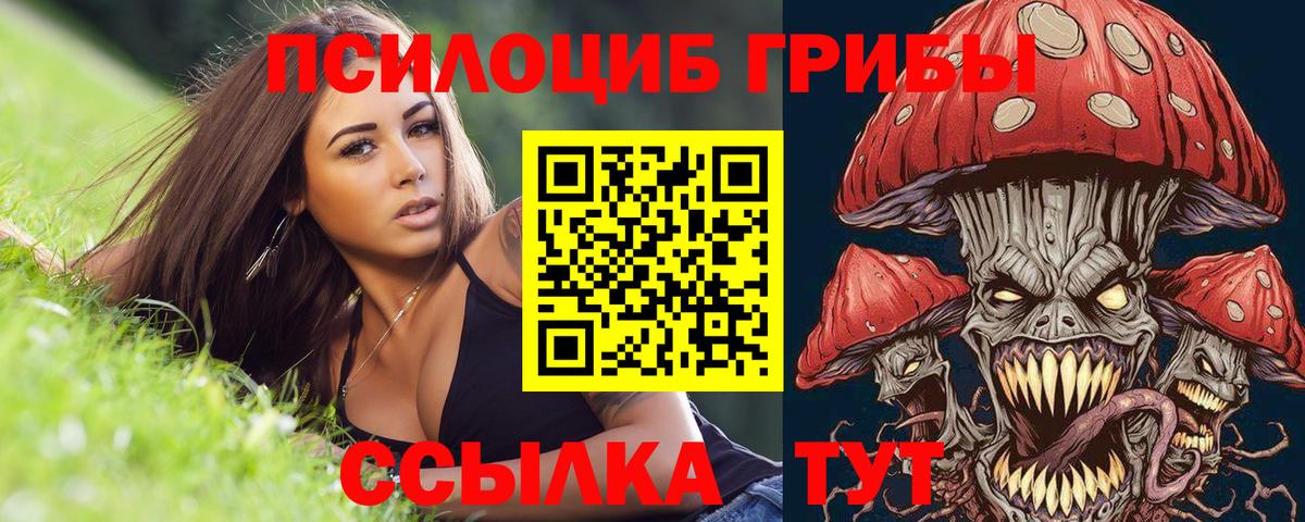 Галлюциногенные грибы Magic Shrooms  Галлюциногенные грибы MAGIC MUSHROOMS  Азов  Вход с VPN 